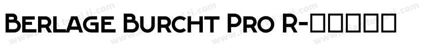 Berlage Burcht Pro R字体转换